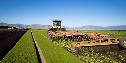 EIT Food chiude il suo primo anno di attività: “È stata e sarà ancora un’occasione importante per la Sicilia”