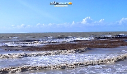 Fiume Naro invaso dalla plastica