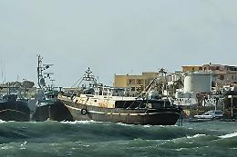 Barconi utilizzati dagli immigrati rompono gli ormeggi e minacciano le imbarcazioni dei pescatori