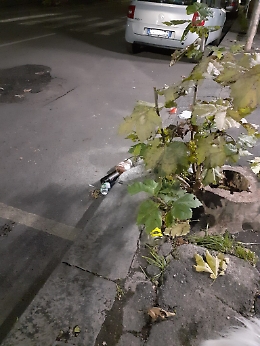 Catania: incivile deposita rifiuti in via Lago di Nicito