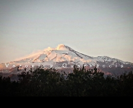 Sua Maestà vestita di bianco