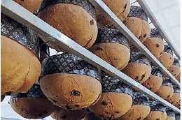 Pasticceria Tomarchio «la parola alla bontà»