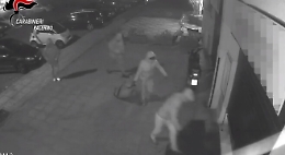 Dai furti e allo spaccio di droga, sgominata banda “multitasking” a Palermo