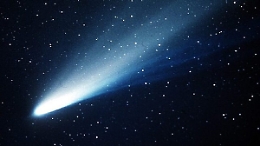 Non è Natale senza cometa: ecco come vedere Leonard durante le feste