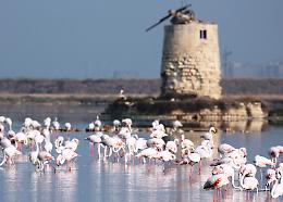 La giunta Musumeci approva il Paf: 250 milioni di euro per la natura e la biodiversità siciliana