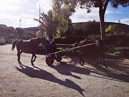 Riapre l'ippodromo alla Favorita di Palermo