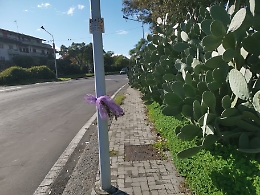 Nesima (Ct), via Ballo: e gli incidenti continuano...