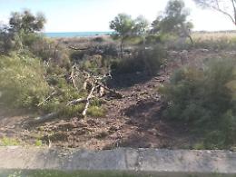 Ragusa: scempio di alberi abbattuti a Playa Grande
