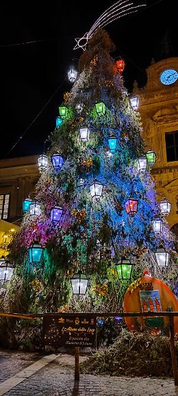 Ecco l'albero della luce, il passato illumina il futuro con antichi lampioni