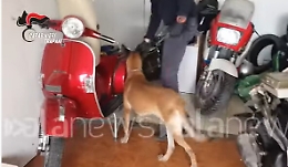 Cold case a Trapani, arrestato anche il nipote dell'accusato