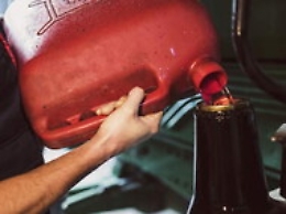 Truffe, gasolio per uso agricolo anche ai defunti: evasione per 6,9 mln di euro