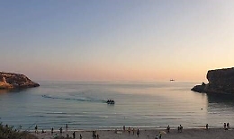 Dodici cani trovati avvelenati a Lampedusa