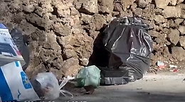 San G. Galermo: topi a passeggio in via Immacolata