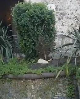 Catania: incivilt&agrave; all'ingresso del castello Ursino