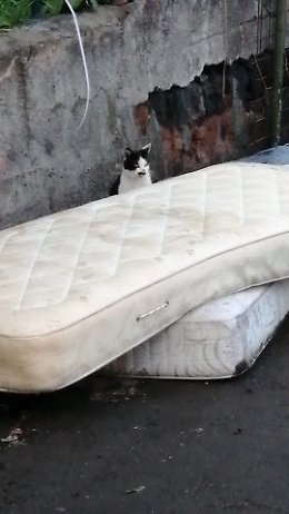 Catania: una città disastrata tra inciviltà e malgoverno