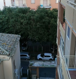 Catania: stallo per invalidi invaso dagli alberi
