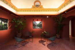 La bellezza della decadenza nei Palazzi ristrutturati