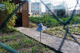 “’U Criscenti” a Librino coltiva la comunità e vince il “Creative Living Lab”