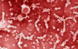 Nanoparticelle per curare la leucemia: la terapia sperimentata in Cina