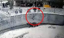 Bimba di tre anni cade nel recinto dell'orso bruno