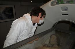 Bimbi mummificati delle Catacombe di Palermo sveleranno la loro storia