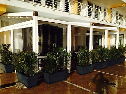 Sfondano la vetrina di un bar con una Jeep Renegade: rubano soldi e tabacchi