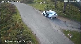 Abbandona il cane (di cui si sono perse le tracce) come fosse un rifiuto: ripreso da telecamere