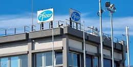 Catania, Pfizer annuncia 130 esuberi e Fratoianni: «Fanno i milioni e licenziano?»
