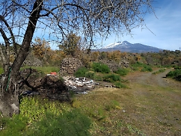 "Bomba ecologica" nel Parco dell'Etna