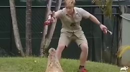 Robert Irwin in fuga dal coccodrillo di 5 metri