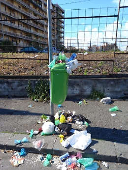 Catania, Via Vagliasindi: contenitore per deiezioni stracolmo