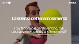 Se innamorarsi è una scienza: ecco che cosa succede nel nostro cervello