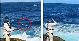 Australia, squalo bianco di 4 metri attacca e uccide un istruttore di nuoto