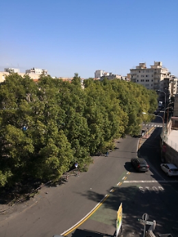 Catania: il polmone verde di piazza Lanza ridotto all'estremo