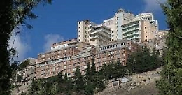 L'Oasi di Troina era diventata troppo "bellissima": ecco cosa c'è dietro il siluramento del direttore generale