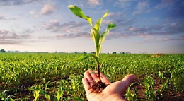 Gal Sicilia Centro Meridionale, arriva mezzo milione di costributi su 650 mila euro di investimenti