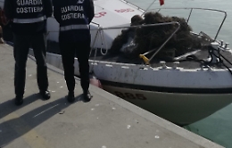 Nel porto di Palermo sequestrati 200 chili di pesce e novellame