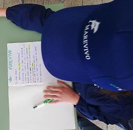 Alle Eolie riparte il progetto "Delfini Guardiani"