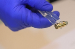 Gigi Bici: esame ogiva proiettile trovato in casa arrestata