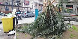 Degrado in città: "Mi vergogno di essere catanese"