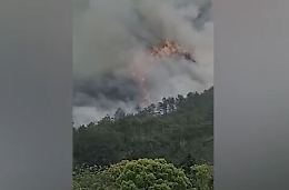 Cina, precipita aereo con 132 persone a bordo