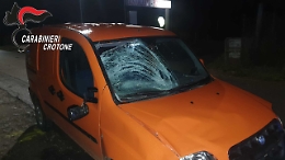 Bambina ucraina, da poco arrivata in Italia, muore investita: denunciato diciottenne