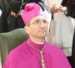 Sacerdote offre piantine di cannabis legale: la curia lo sospende