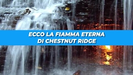 La fiamma che non si spegne mai: tra scienza e leggenda