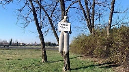 Fantoccio con scritta 'Draghi' impiccato a albero in Friuli