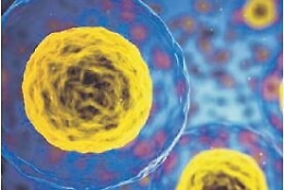 Esosomi, vescicole extracellulari, interessante &ldquo;spia&rdquo; nonch&eacute; possibile arma preventiva contro il Covid-19