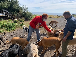 La Caritas di Catania provvede ai cani e ai gatti dei senzatetto