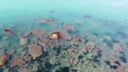 Sciacca, dopo 300 anni riemerge l'isolotto sommerso