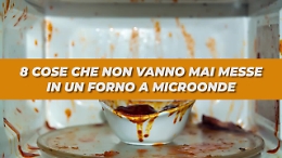 Le 8 cose che non vanno mai messe in un forno a microonde.