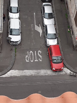 Catania: panda rossa in sosta vietata da una settimana